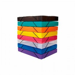 Caja Pvc A4 Con Elástico...