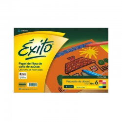 Repuesto Canson Exito N6...