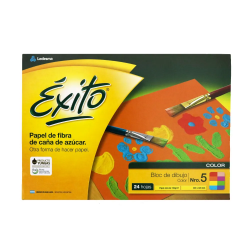 Repuesto Canson Exito...