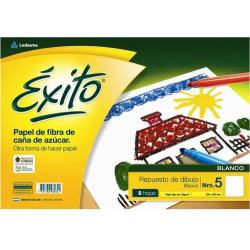 Repuesto Canson Exito...