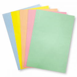 Carpeta Cartulina Caratula...