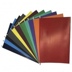 Carpeta Colgante Nepaco Color