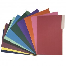 Carpeta Interna Nepaco Color