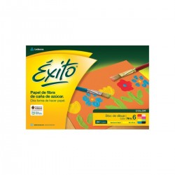 Block Dibujo N6 Éxito Color...