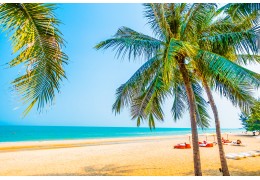 ☀️ Verano en la Oficina: Trabajá Fresco y Alegre